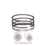 Ελατήρια κινητήρα 101mm Perkins 248-6372