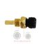 Φούσκα θερμοκρασίας σασμάν Massey Ferguson 3000-3100-6100-8200