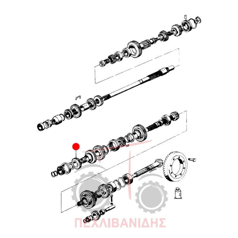 Γρανάζι σασμάν Landini 8550-8500-Frutteti