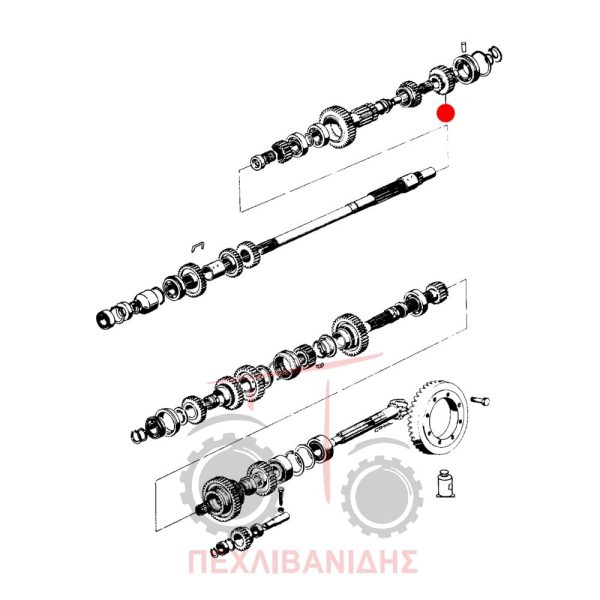 Γρανάζι σασμάν Landini 8550-Frutteti