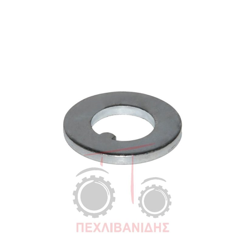 Ροδέλα ακραξονίου Massey Ferguson177-188-290-590-690
