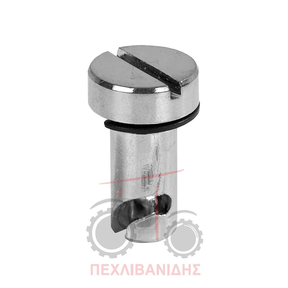 Βίδα πορτάκι μάσκας - μπαταρίας Massey Ferguson 135-188