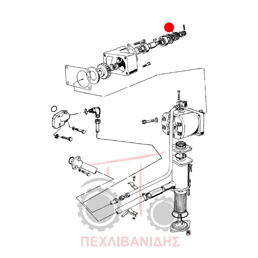 Γρανάζι αντλίας τιμονιού Landini 6830-7500-Frutteti