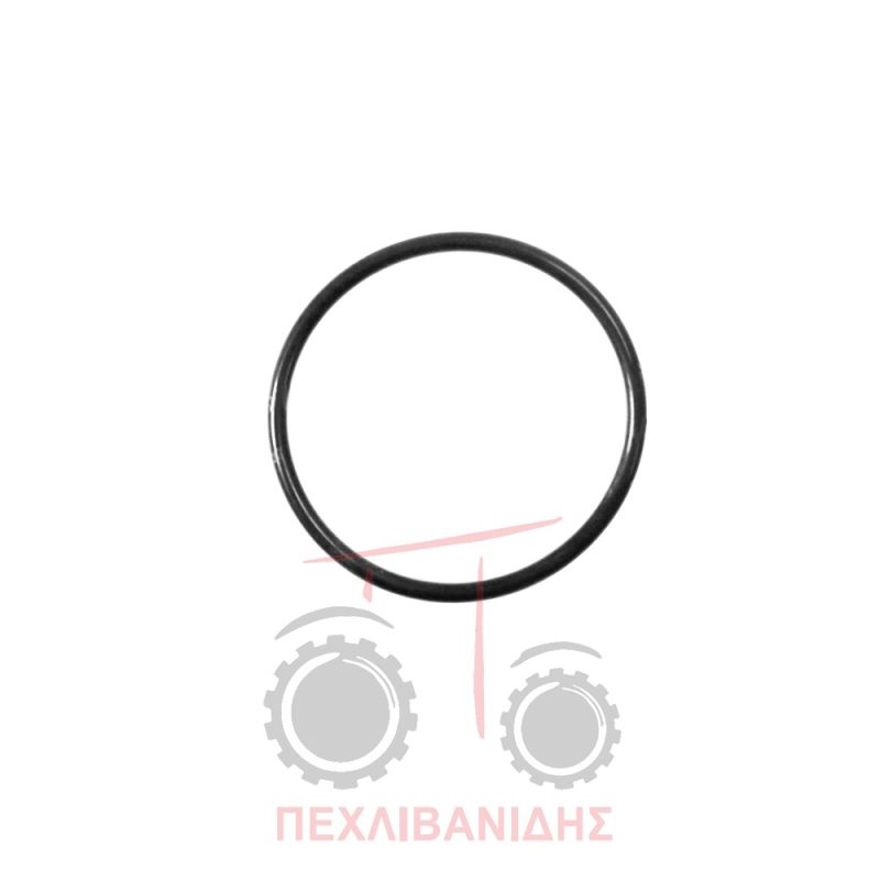 Όρινγκ καπάκι βαλβίδων Massey Ferguson 7400
