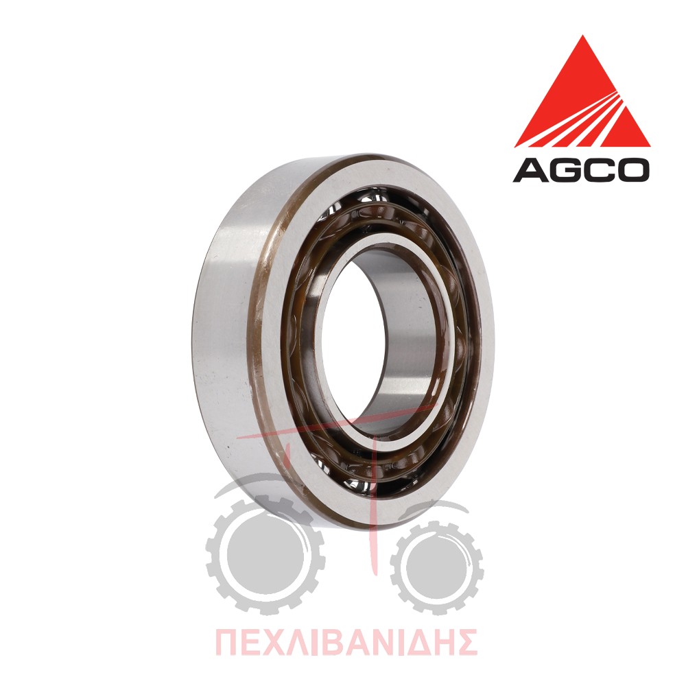 Ρουλεμάν γρανάζι τρελό Massey Ferguson 6499-8180-8240-8450