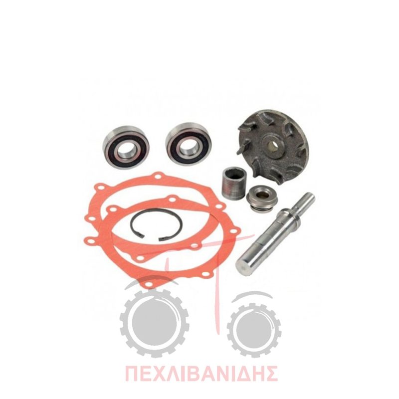 Σετ επισκευής υδραντλίας Perkins 6.354.2 Σετ επισκευής υδραντλίας Perkins 6.354.2