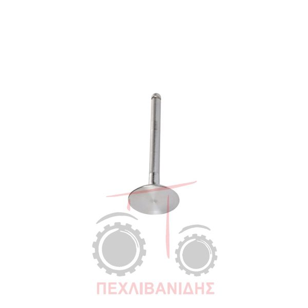 Βαλβίδα εισαγωγής μηχανής 44.25X9.50X123.0/45° Massey Ferguson 165-175-180-265-275-384