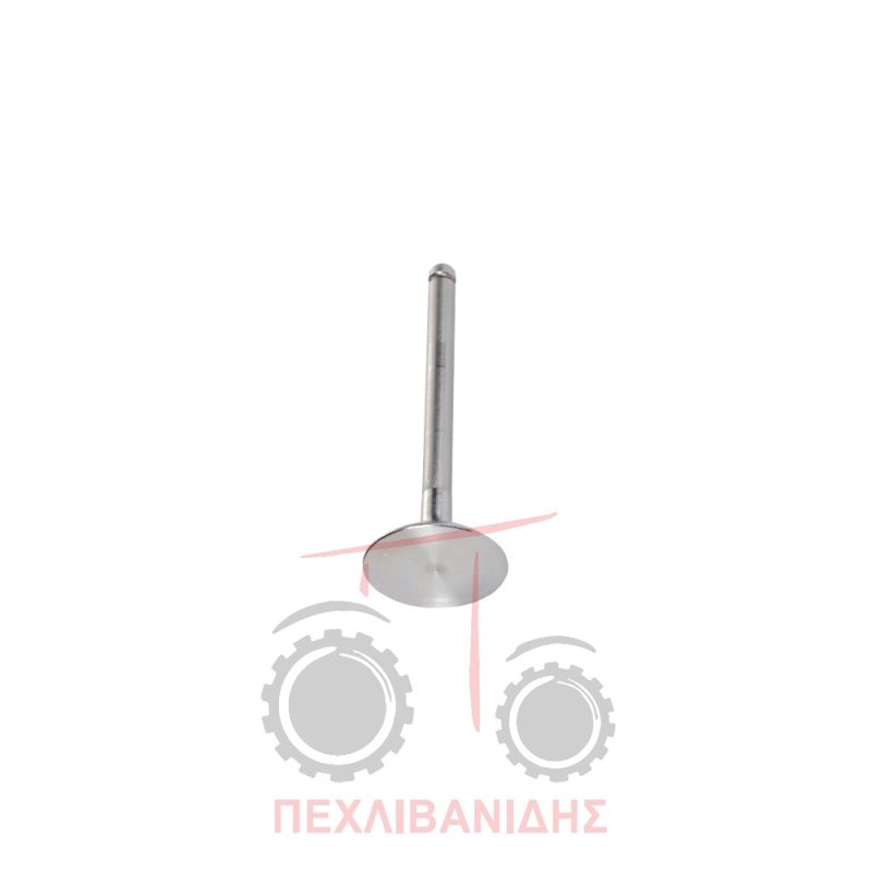 Βαλβίδα εισαγωγής μηχανής 44.25X9.50X123.0/45° Massey Ferguson 165-175-180-265-275-384