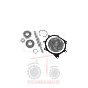 Σετ αντλίας νερού Massey Ferguson, Landini 399-699-1114-3080-2640