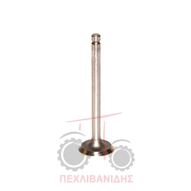 Βαλβίδα εισαγωγής κινητήρα 20C