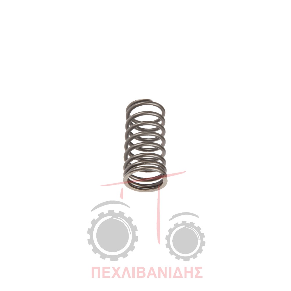 Ελατήριο βαλβίδας μηχανής στενό Massey Ferguson 1080-265-2705-294-3050-390-398