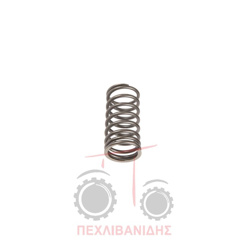 Ελατήριο βαλβίδας μηχανής στενό Massey Ferguson 1080-265-2705-294-3050-390-398