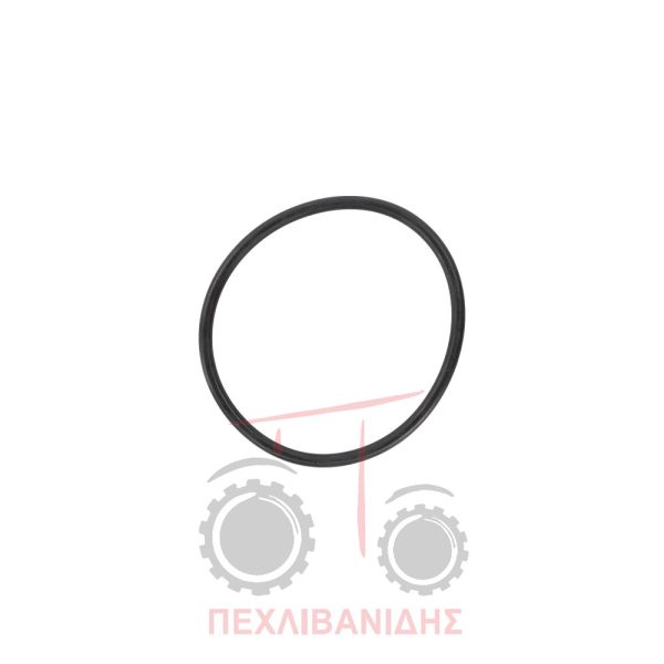 Όρινγκ τσιμούχας καθρέφτη Massey Ferguson 165-302-304-3165-65