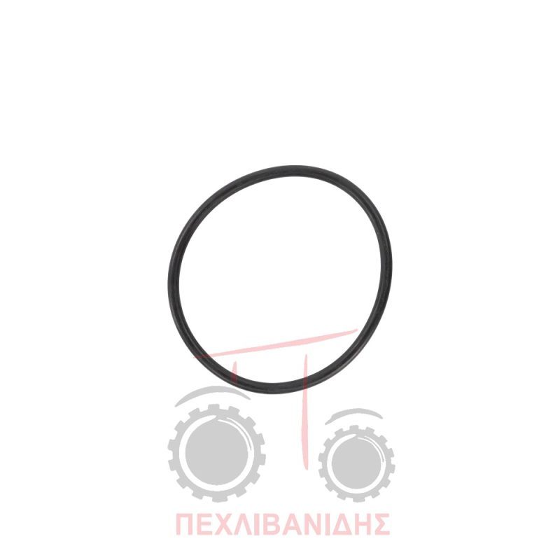 Όρινγκ τσιμούχας καθρέφτη Massey Ferguson 165-302-304-3165-65