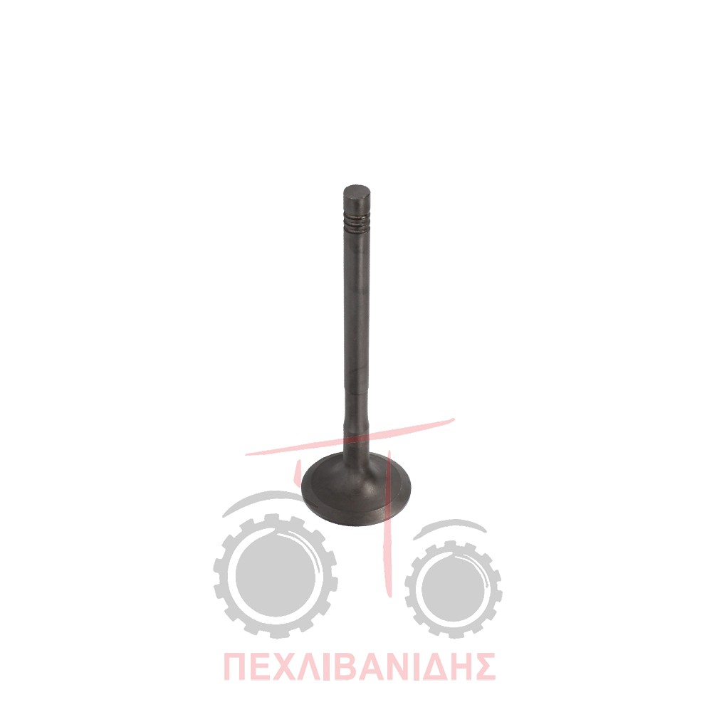 Βαλβίδα εξαγωγής μηχανής 41.60x8.96x128.20/30° Massey Ferguson 5410-5425-5435-5450