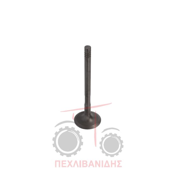 Βαλβίδα εξαγωγής μηχανής 41.60x8.96x128.20/30° Massey Ferguson 5410-5425-5435-5450
