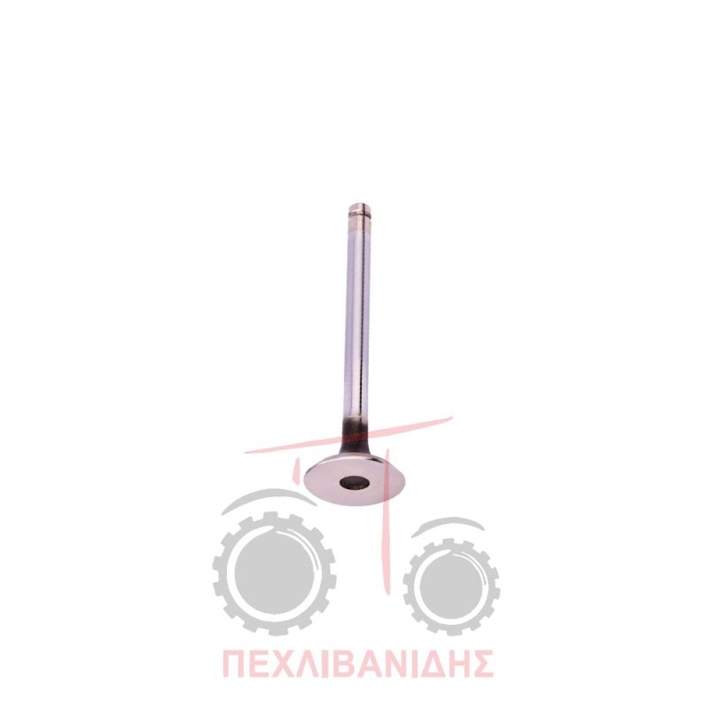 Βαλβίδα εξαγωγής μηχανής 36.60x9.50x123.0/45° Massey Ferguson Βαλβίδα εξαγωγής μηχανής 36.60x9.50x123.0/45° Massey Ferguson