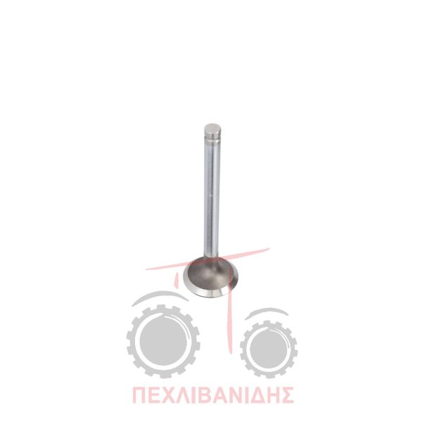 Βαλβίδα εξαγωγής μηχανής 37.40x9.50x123.0/45° Massey Ferguson 290-3120-3660-390-4200-6100-680-8120