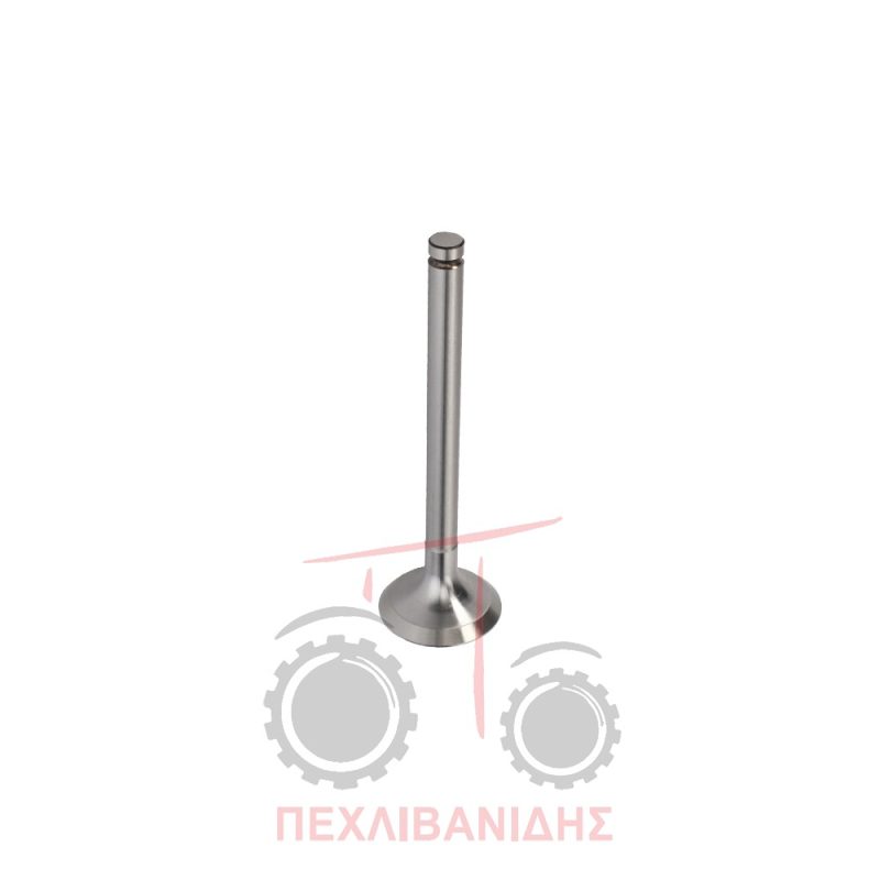 Βαλβίδα εξαγωγής μηχανής 36.60x9.50x123.3/45° Massey Ferguson 290-375-390