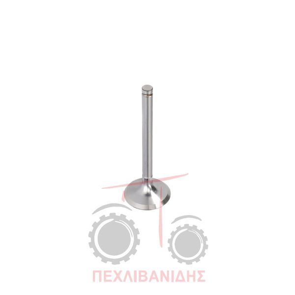 Βαλβίδα εισαγωγής μηχανής 44.20x9.50x123.1/45° Massey Ferguson 290-3060-375-390