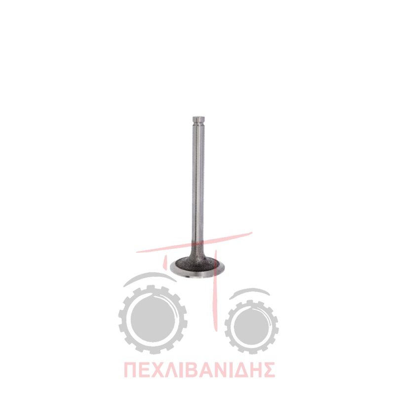 Βαλβίδα εισαγωγής μηχανής 45.00x9.50x122.9/45° Massey Ferguson 290-390-4235-4260-6170 Βαλβίδα εισαγωγής μηχανής 45.00x9.50x122.9/45° Massey Ferguson 290-390-4235-4260-6170