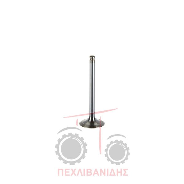 Βαλβίδα εισαγωγής μηχανής 45.00x9.40x123.0/30° Massey Ferguson 3075-3660-4245-6150-6190-8120