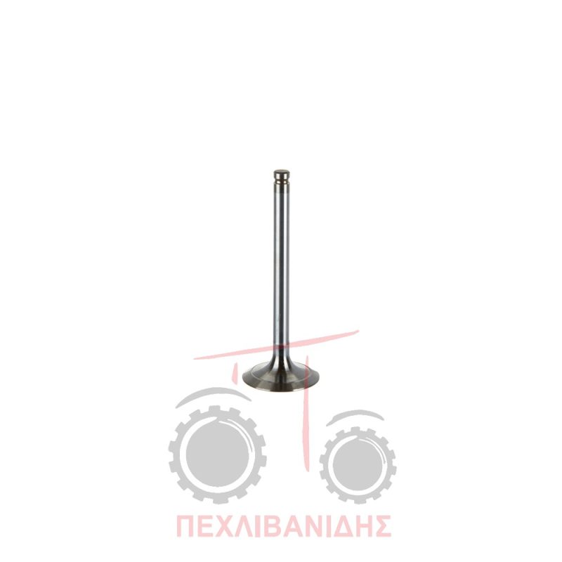 Βαλβίδα εισαγωγής μηχανής 45.00x9.40x123.0/30° Massey Ferguson 3075-3660-4245-6150-6190-8120
