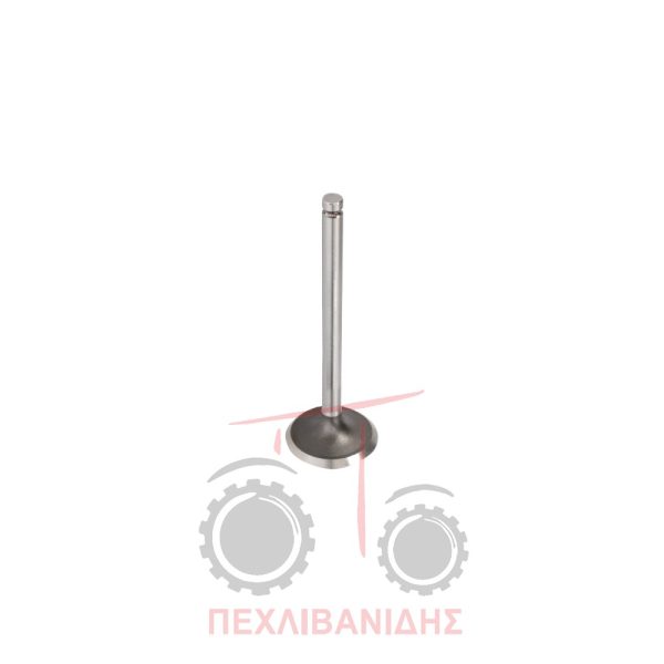 Βαλβίδα εισαγωγής μηχανής 39.00x8.00x114.0/45° Massey Ferguson 135-165-230-255
