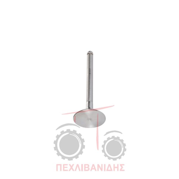 Βαλβίδα εισαγωγής μηχανής 44.25x10.22x123.0/45° Massey Ferguson 1130-175-265-275-394