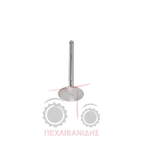Βαλβίδα εισαγωγής μηχανής 44.25x10.22x123.0/45° Massey Ferguson 1130-175-265-275-394