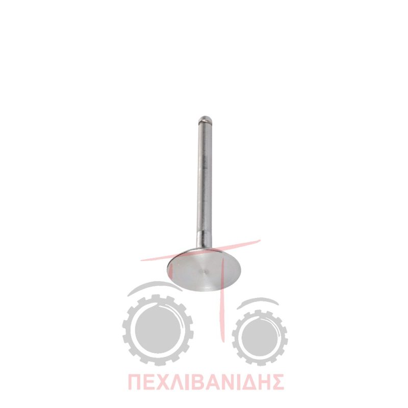 Βαλβίδα εισαγωγής μηχανής 44.25x10.22x123.0/45° Massey Ferguson 1130-175-265-275-394 Βαλβίδα εισαγωγής μηχανής 44.25x10.22x123.0/45° Massey Ferguson 1130-175-265-275-394