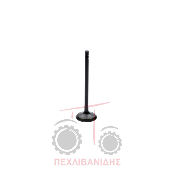 Βαλβίδα εισαγωγής μηχανής 35.00x5.96x108.0/30° Massey Ferguson 5400-6400-7475