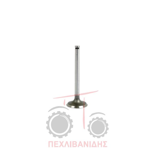 Βαλβίδα εισαγωγής μηχανής 44.00x9.55x123.0/45° Massey Ferguson 165-188-275-374-397-675
