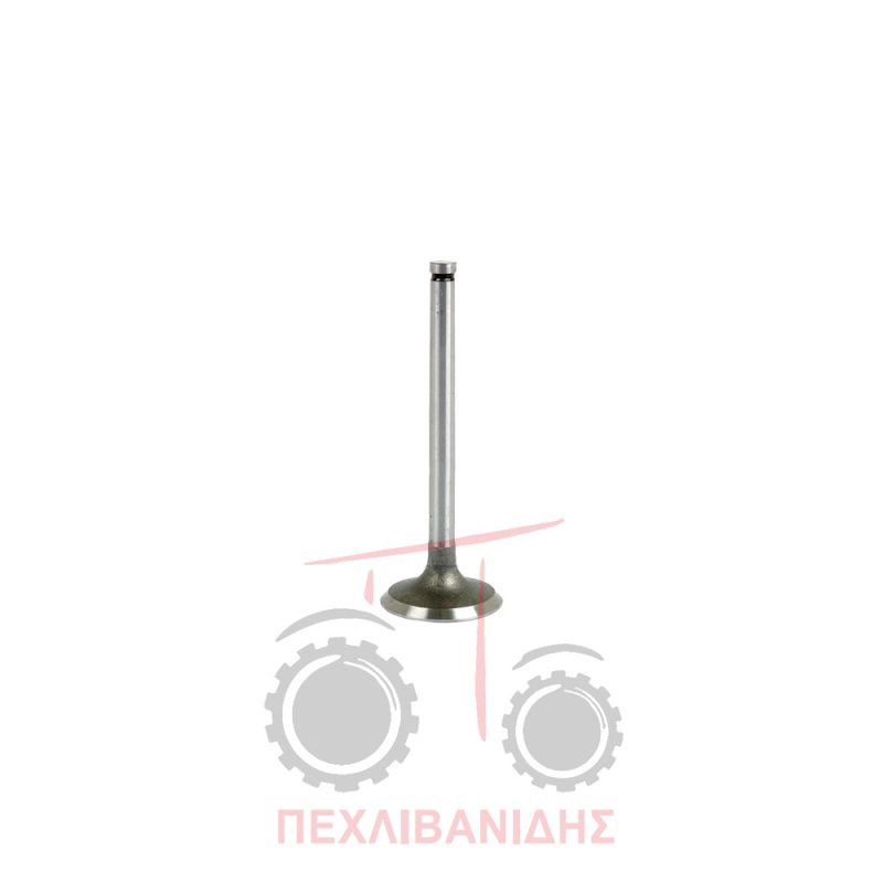 Βαλβίδα εισαγωγής μηχανής 44.00x9.55x123.0/45° Massey Ferguson 165-188-275-374-397-675