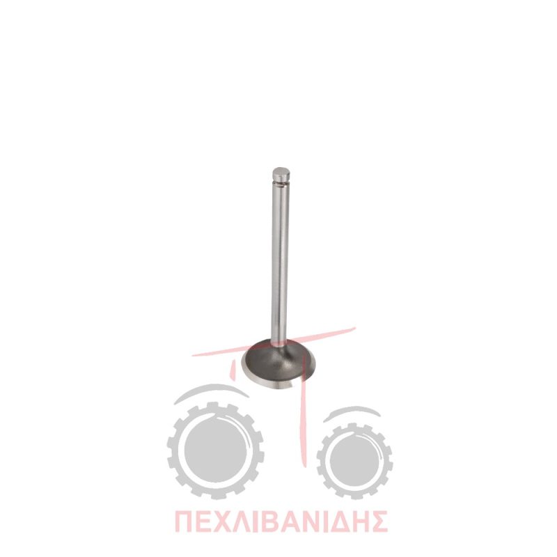 Βαλβίδα εισαγωγής μηχανής 39.00x8.00x114.0/45° Massey Ferguson 65-135-165-245-255