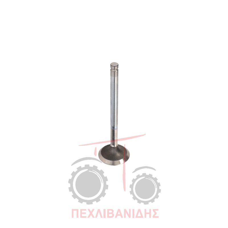 Βαλβίδα εξαγωγής μηχανής 33.40x7.90x114.2/45° τούρμπο Massey Ferguson 240-253-263 Βαλβίδα εξαγωγής μηχανής 33.40x7.90x114.2/45° τούρμπο Massey Ferguson 240-253-263