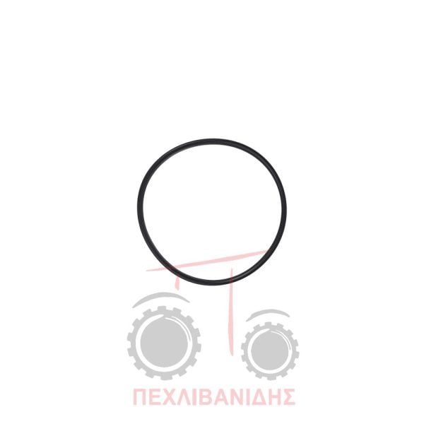 Όρινγκ συμπλέκτη Massey Ferguson 6200-8100