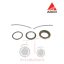 Σετ ωθηστικού Massey Ferguson 3670-3690