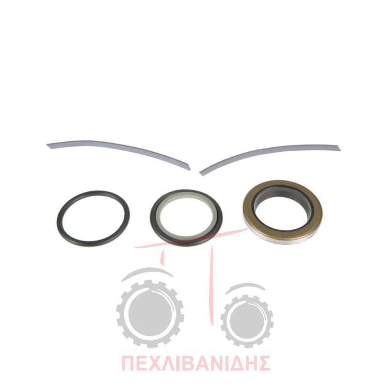 Σετ ωθηστικού Massey Ferguson 3655-3690
