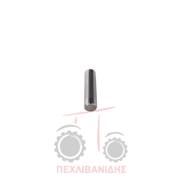 Μακαρονωτό ρουλεμάν βελόνα Massey Ferguson 290-399-4200-4300