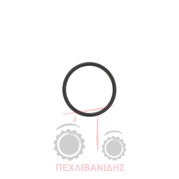 Όρινγκ άξονα γρανάζι ενδιάμεσου 19.10x1.60 Massey Ferguson 4200-4300