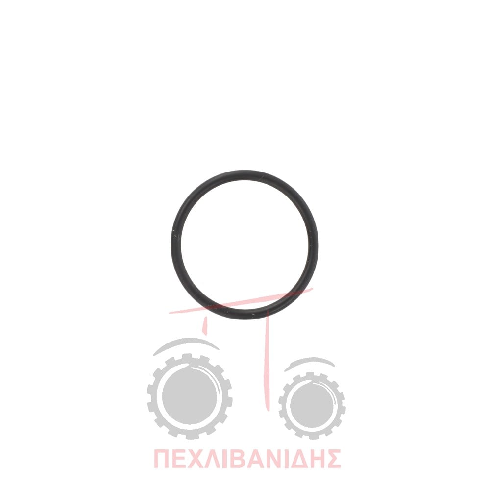 Όρινγκ άξονα γρανάζι ενδιάμεσου 19.10x1.60 Massey Ferguson 4200-4300