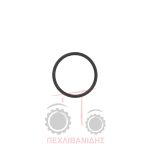 Όρινγκ άξονα γρανάζι ενδιάμεσου 19.10x1.60 Massey Ferguson 4200-4300 Όρινγκ άξονα γρανάζι ενδιάμεσου 19.10x1.60 Massey Ferguson 4200-4300