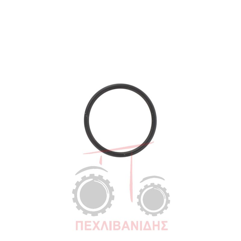 Όρινγκ άξονα γρανάζι ενδιάμεσου 19.10x1.60 Massey Ferguson 4200-4300