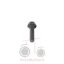 Βίδα δίσκου συμπλέκτη damper M10x40 Massey Ferguson 3060-3075-3125-3690-5445-5460-6100-6200-6400-6600-6700-7600-8160-8220