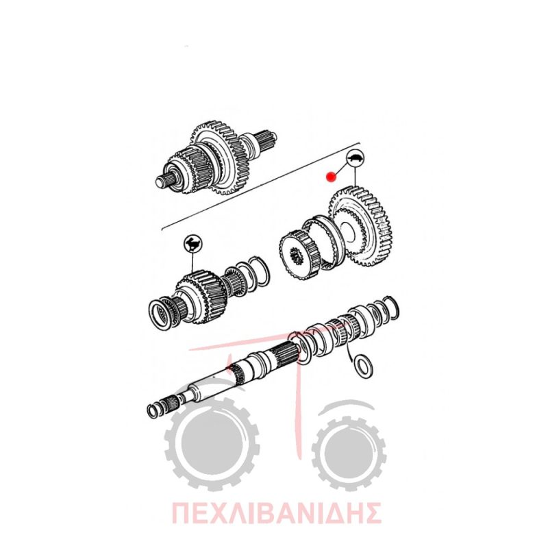 Γρανάζι σασμάν αργό Massey Ferguson 3050-3080-3090