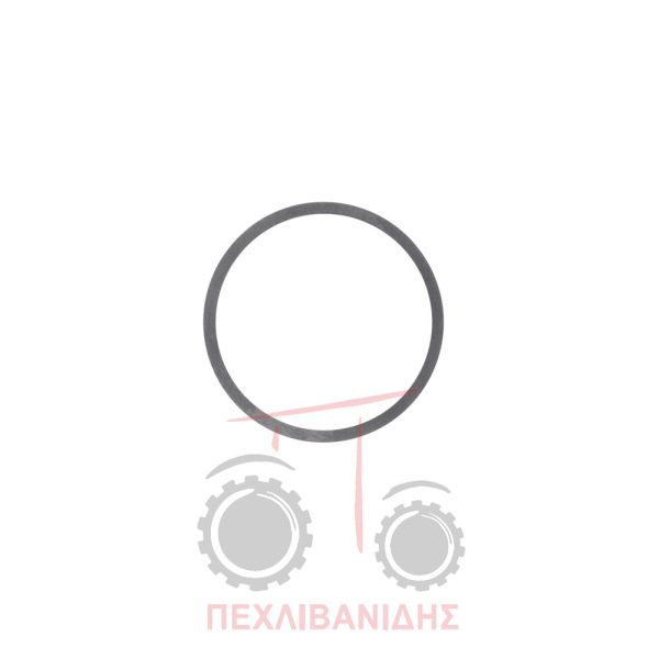 Ρυθμιστική ροδέλα σαζμάν Massey Ferguson 3080-3090-3125-6100-6200