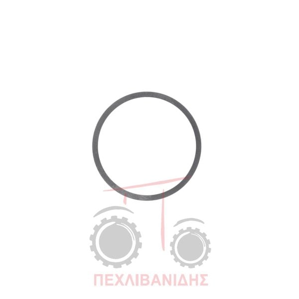 Ρυθμιστική ροδέλα σαζμάν Massey Ferguson 3080-3090-3125-6100-6200
