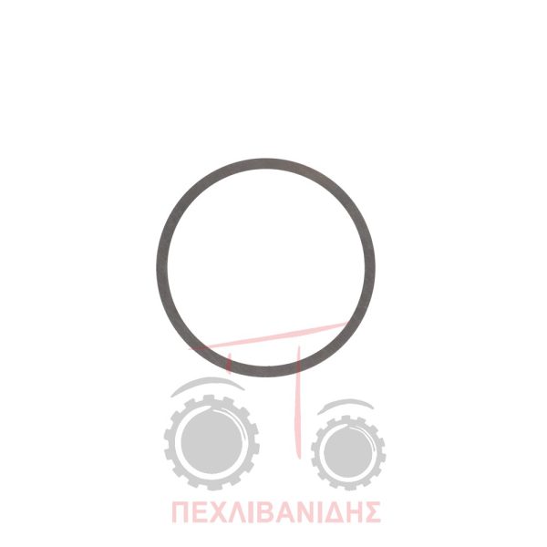 Ρυθμιστική ροδέλα σαζμάν Massey Ferguson 3080-3090-3125-6100-6200