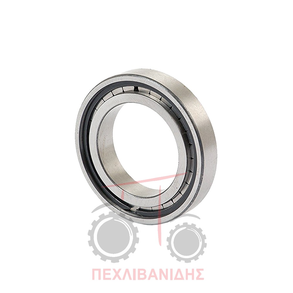 Ρουλεμάν σασμάν Massey Ferguson 165-188-290-590